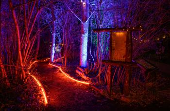 Licht Festival 