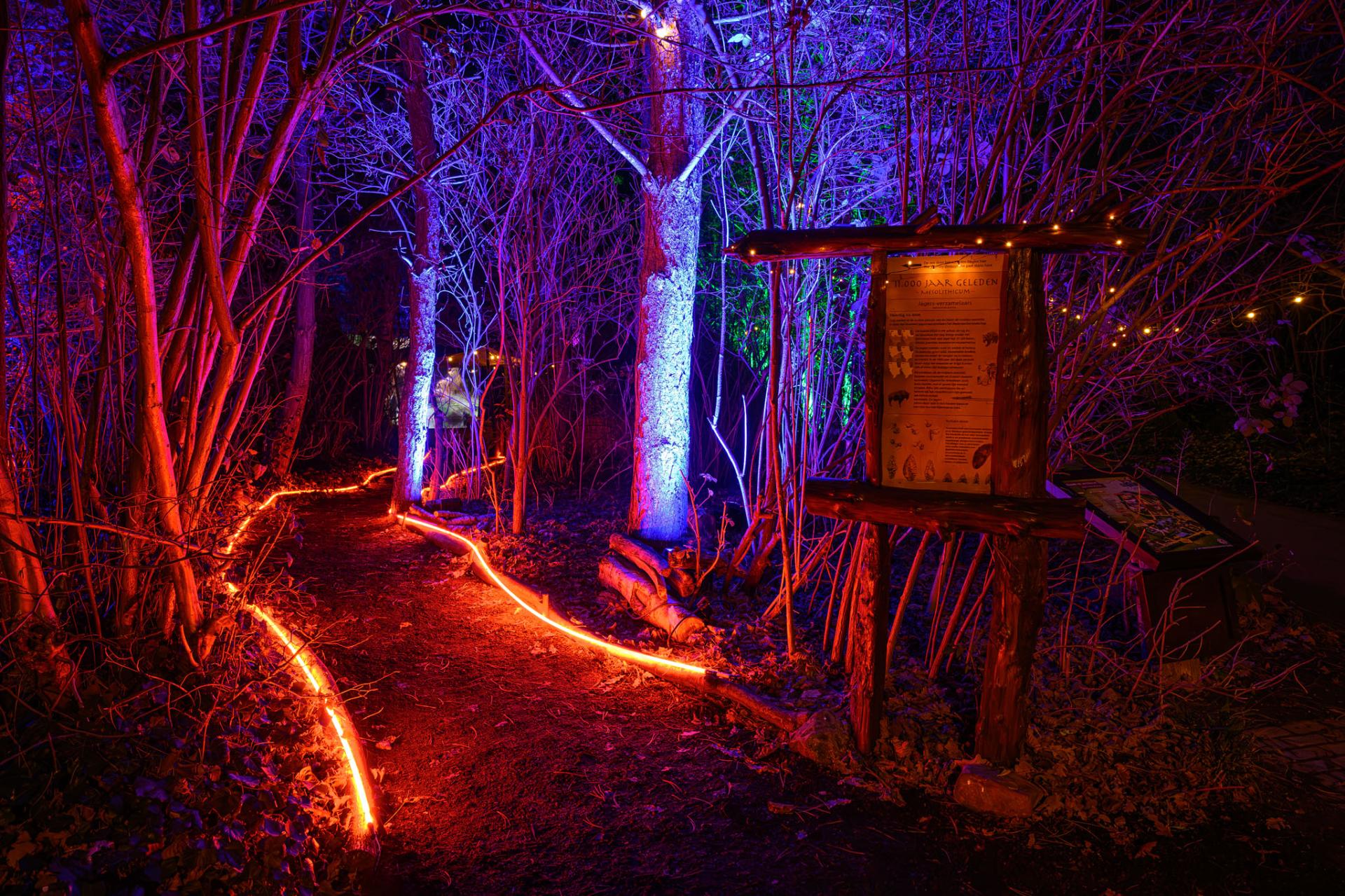 Licht Festival 