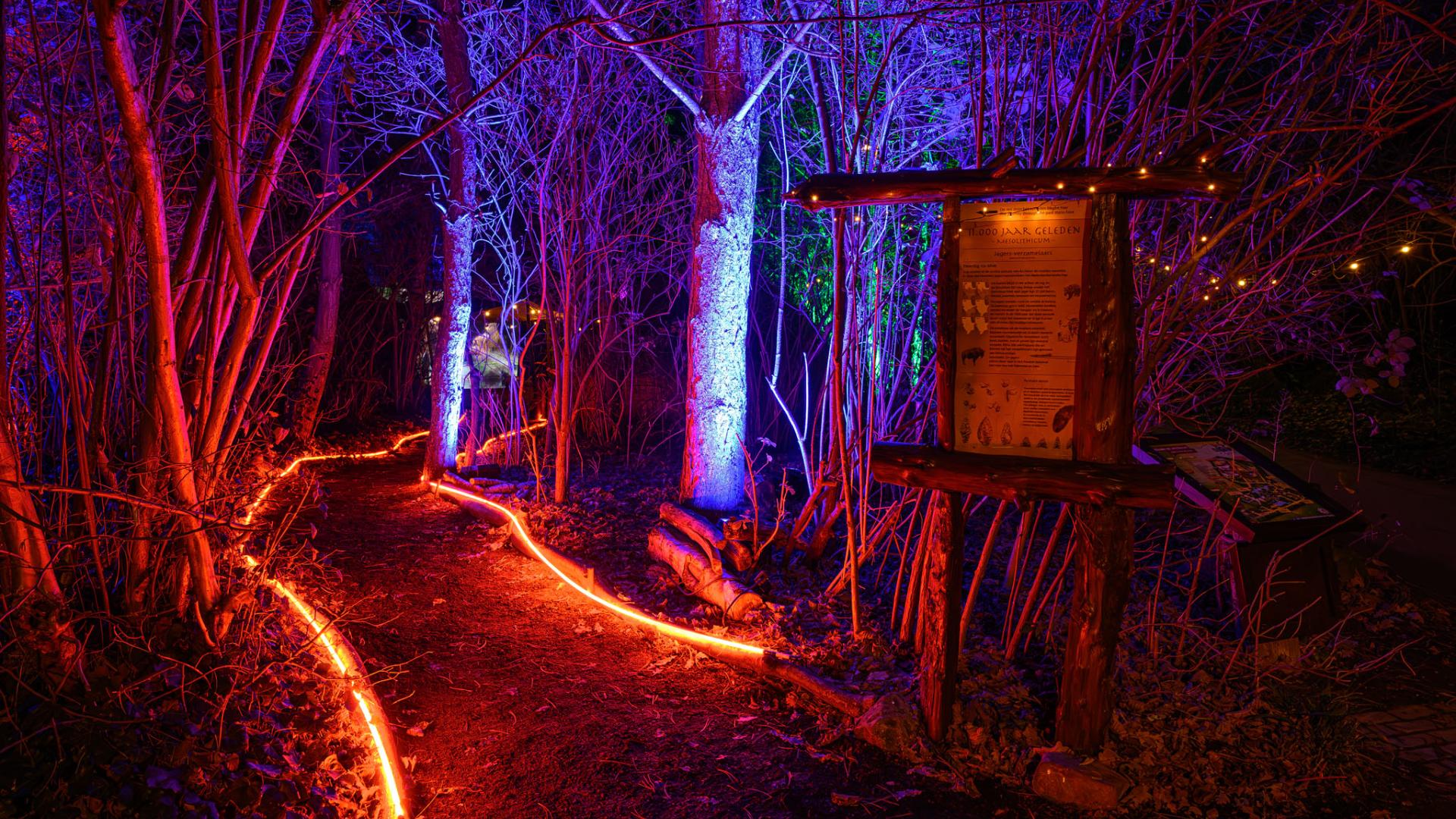 Licht Festival 