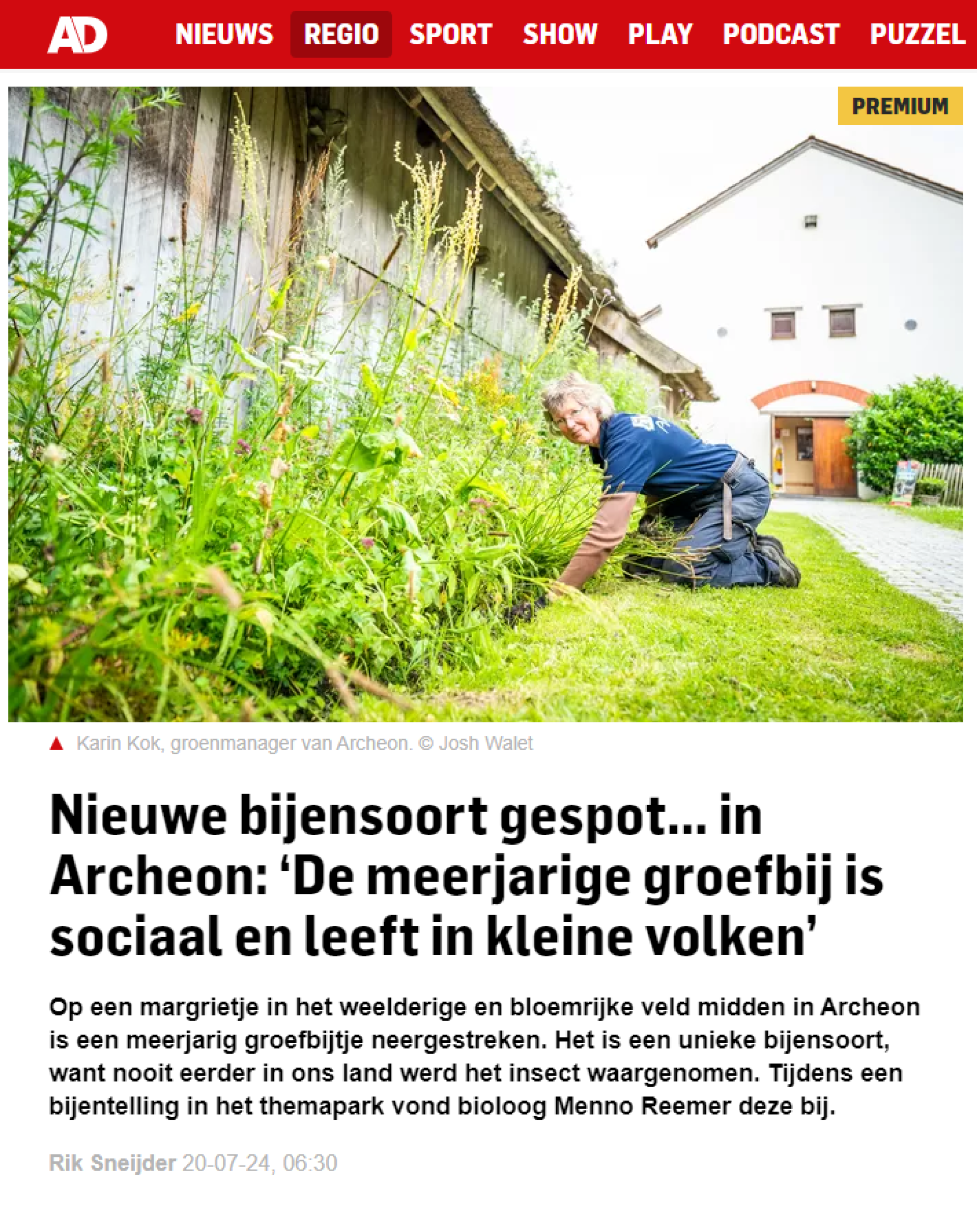Nieuwe bijensoort gespot... in Archeon