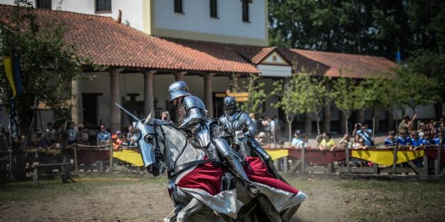 riddertoernooi archeon.jpg
