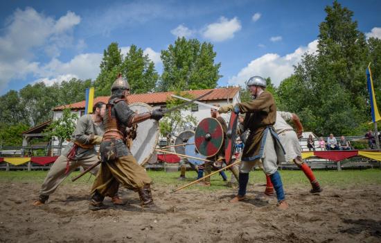 Internationaal Viking Festival 17 t/m 23 augustus
